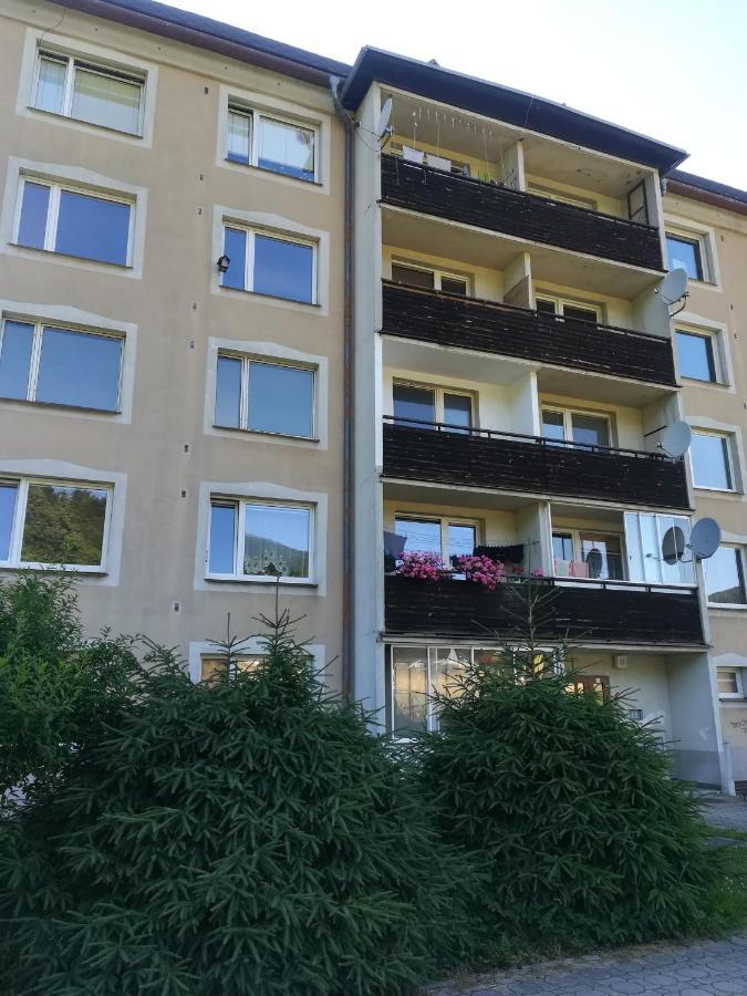 Apartman 21 Loucna nad Desnou Exterior photo